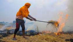 49% jump in stubble burning cases in Punjab this paddy season, says data