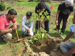 Kejriwal launches first-of-its-kind tree transplantation policy for clean and green Delhi