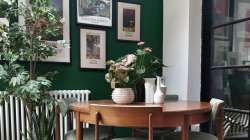 Vastu Tips: Know the benefits of using green colour in east direction