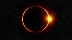 Horoscope Today, Solar Eclipse, Dec 14: Know what effect the last 'surya grahan' will have on your z