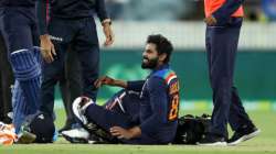 ravindra jadeja, india vs australia, ind vs aus, aus vs ind, india vs australia test