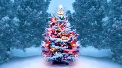 Merry Christmas 2020: Wishes, Quotes, HD Images, Facebook Greetings, WhatsApp statuses, Messages for