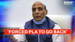 rajnath singh 