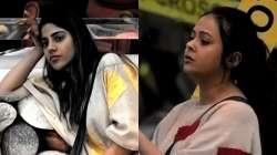 Bigg Boss 14 Jan 20 LIVE UPDATES: Devoleena & Nikki Tamboli to indulge in a war of words