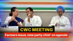 cwc meeting 