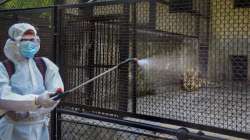 kanpur zoo, bird flu