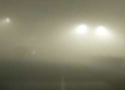 Dense fog shrouds Delhi