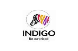 Indigo Paints IPO to open on January 20, price band set at Rs 1,480-1,490