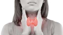 Know your thyroid glands and how to take care of them