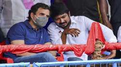 Congress leader Rahul Gandhi with DMK Youth Wing Secretary Udhayanidhi Stalin witnesses Jallikattu a