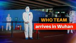 WHO team arrives in Wuhan 