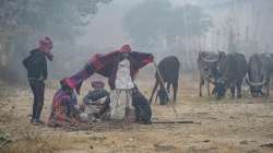 Cold wave: Yellow alert issued for several places in Rajasthan