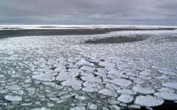 antarctic ice melting