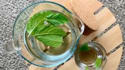 10 health benefits of mint leaves, Pudina benefits, mint leaves,mint leaves benefits, mint leaves cu