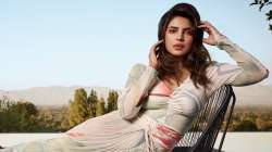 Priyanka Chopra says she's never defined by her work