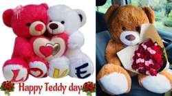 Teddy Day