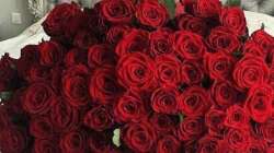 Happy Rose Day 2021