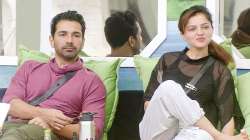 Bigg Boss 14: How Rubina Dilaik's gameplan helped hubby Abhinav Shukla, too