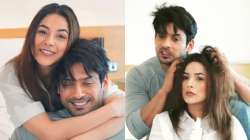 Sidharth Shukla-Shehnaaz Gill surprise fans as they recreate head massage scenes from Bigg Boss 13