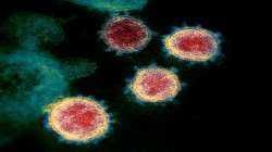 coronavirus, covid19, Covid variants, coronavirus mutation, protein spike, premature shape change, s