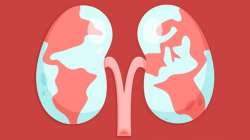  World Kidney Day 2021: Here's everything you can do to protect your kidneys from getting damaged