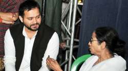 bengal polls 2021, bengal polls, tejashwi yadav, mamata banerjee, mamata tejashwi meeting, tmc rjd a