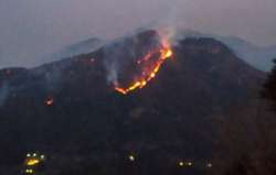 Uttarakhand forest fire, Uttarakhand forest fire incidents, Uttarakhand fire, NDRF helicopters relie