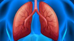 Covid: 4 Herbal drinks for strong lungs you should start taking today