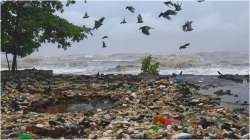 Beach after cyclone Tauktae brushed the city