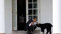 Obama dog Bo, once a White House celebrity, dies from cancer