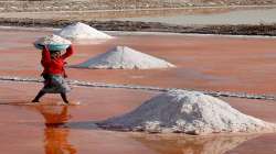 Salt, salt washed away, flood, Cyclone Tauktae, Gujarat, Surendranagar, saltpans