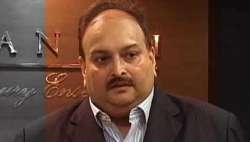 mehul choksi