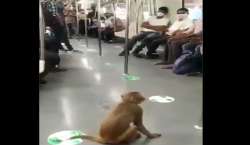 Watch: Monkey takes fun ride in Delhi Metro, video goes viral