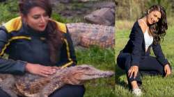 Khatron Ke Khiladi 11: Divyanka Tripathi 'bani magar rani' as she sings lullaby for crocodile; WATCH