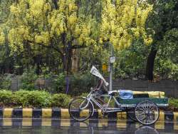 delhi rains