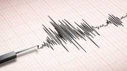 Moderate intensity earthquake strikes Himachal Pradesh's Kinnaur