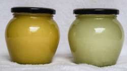 Eating Ghee makes you fat or fit? Find out!