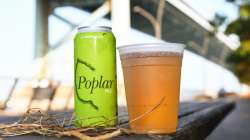 International Beer Day 2021:Pop-up beer gardens and parks in Philadelphia to sip alfresco beers 