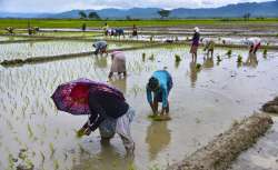 farmer suicide chhattisgarh