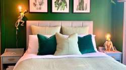 Vastu Tips: Painting green color in igneous angle of the house is considered auspicious, know why