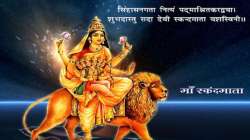 Navratri Day 5, 2021: Maa Skandamata's puja significance, timings, vidhi, muhurat and mantra