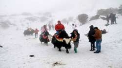 sikkim tourist footfall