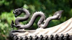 Vastu Tips: Keep this in mind while choosing a dragon statue or picture for home