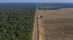 Brazil, Amazon deforestation, deforestation surges to worst, latest international news updates, braz