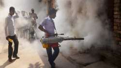 Tamil Nadu, Tamil Nadu dengue cases, dengue, dengue cases in tamil nadu, dengue cases, Tamil Nadu ne