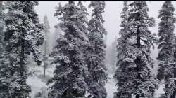 gulmarg, snowfall