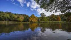 Once declared 'biologically dead', London's Thames river now nurses sharks, seahorses