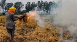 stubble burning