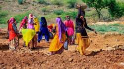  MGNREGA ombudsperson, government of India,  MGNREGA 