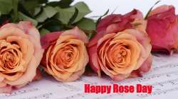 Happy Rose Day 